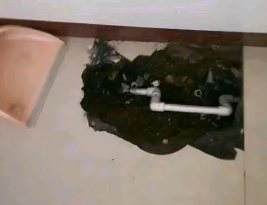 祁门卫生间测漏水多少钱